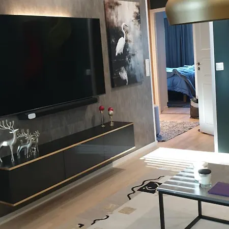 Spacious City Centre Apartment , Sauna 로바니에미